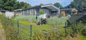 Ostseecamp Lübecker Bucht Seeigel